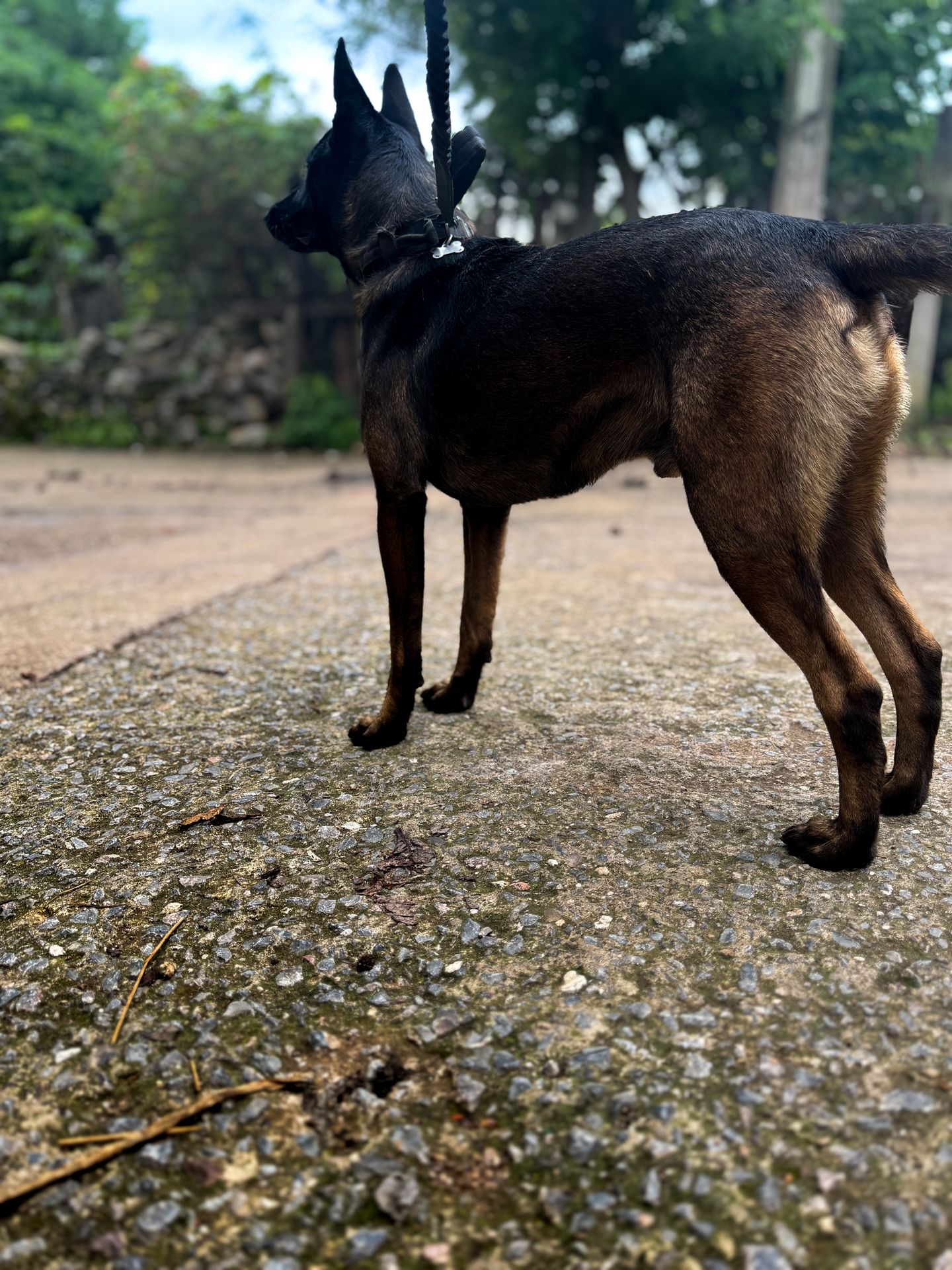 Photo U6Ee}X%K%L~V0O%f%LNH000Lx[9a0L9ZIot7