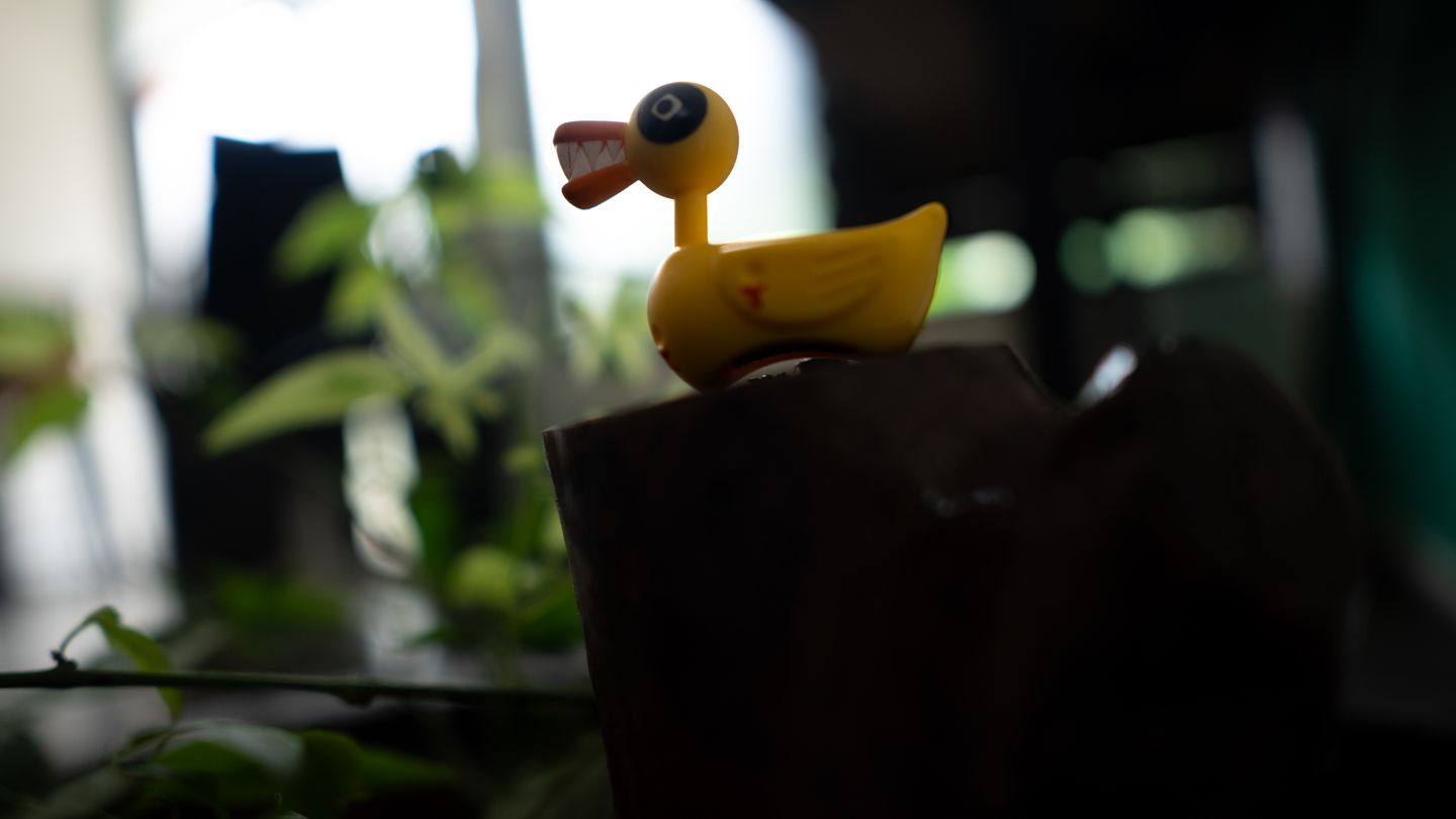 Photo UaCZeF?uW.WU~q-;R*R*-=%MWBWCxvxvs:of