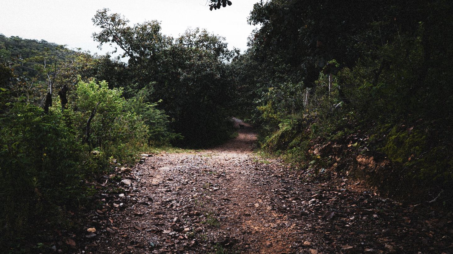 Photo UPC6on?bE1Ri?v-;RjRj?v%NRQRj~W-;IoM{